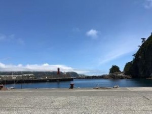 image1_4.JPG