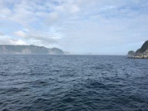 image1_6.JPG