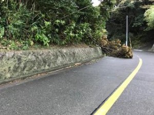 image2.jpeg