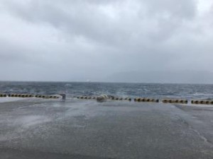 image1_2.jpeg