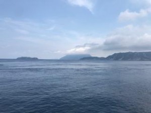 image1_4.jpeg
