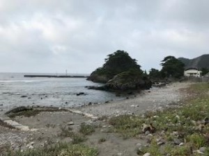 image1.jpeg
