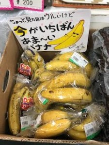 image1_3.jpeg