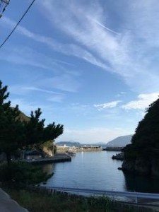 image1_8.jpeg