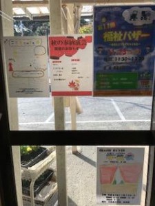 image1.jpeg
